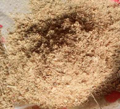 ��ľ�۵ăr�������Ӱѿص�