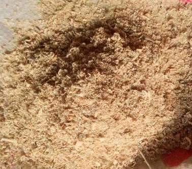 ��ľ�۵���Ч�Ժ���