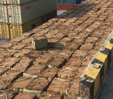 ľ�w�S�۷������^�V�b�õ�����