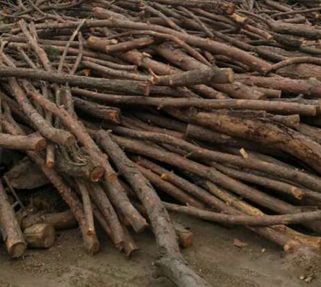 ľ�ĸ���̎�������c����