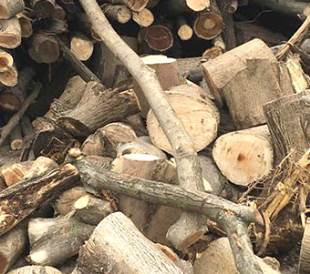 ľ�Ĳ�ُ�е�ע�����